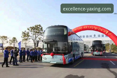 资深用户赵队长分享：破解“亚星客车购买指南安装失败”的创新思路